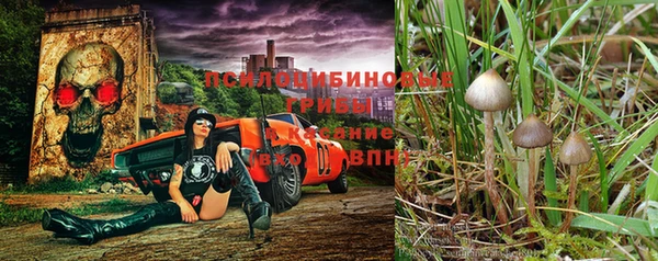 экстази Алексеевка