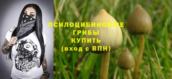 амф Алзамай