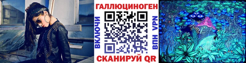 хочу наркоту  Борзя  Галлюциногенные грибы Cubensis 