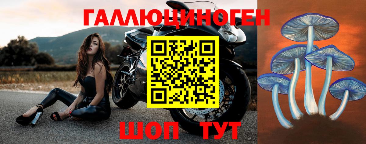Псилоцибиновые грибы Magic Shrooms Борзя